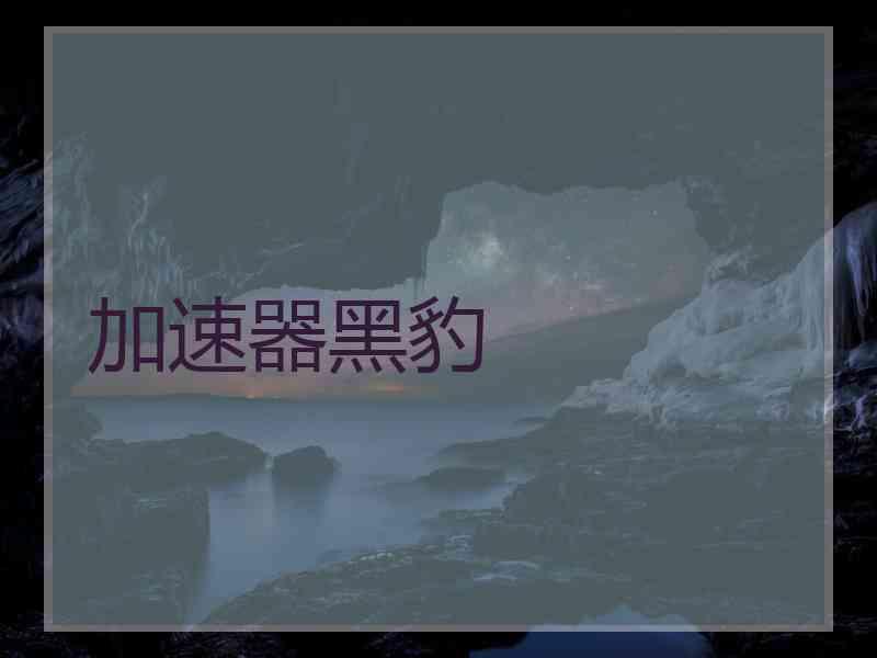 加速器黑豹