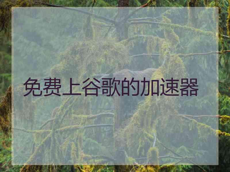 免费上谷歌的加速器