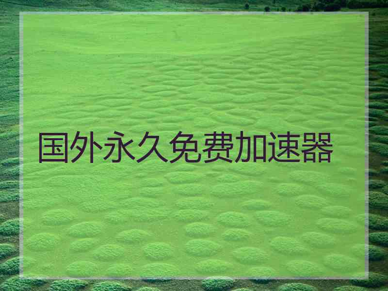 国外永久免费加速器