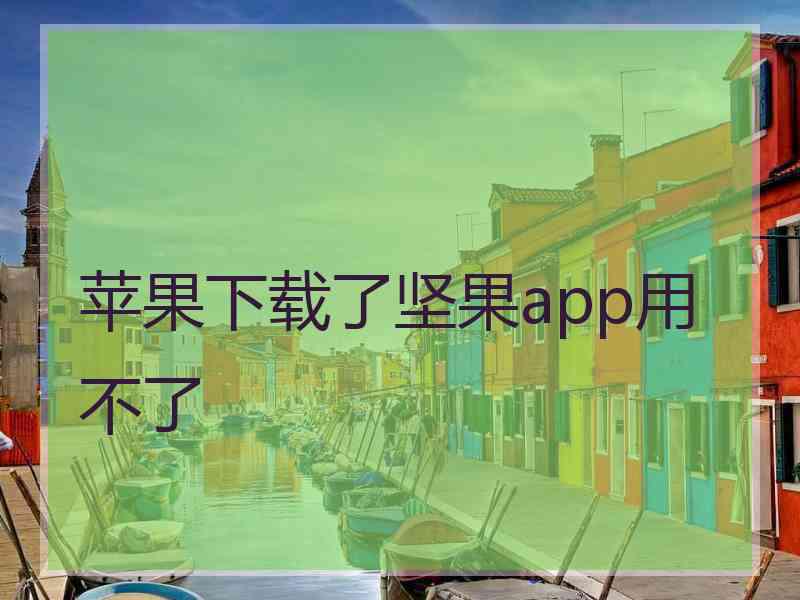 苹果下载了坚果app用不了