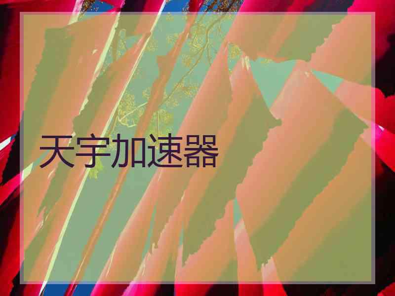 天宇加速器