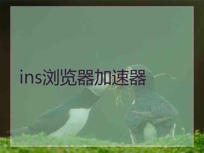 ins浏览器加速器