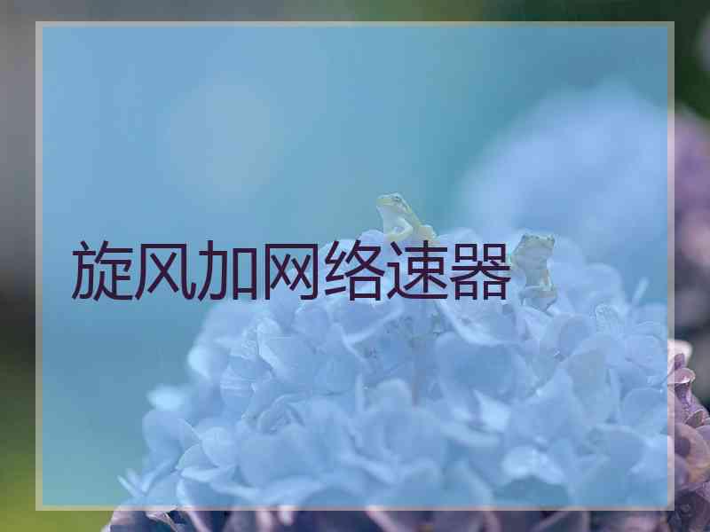 旋风加网络速器