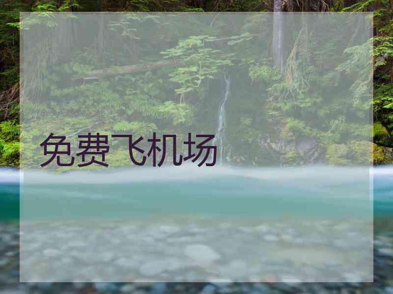 免费飞机场