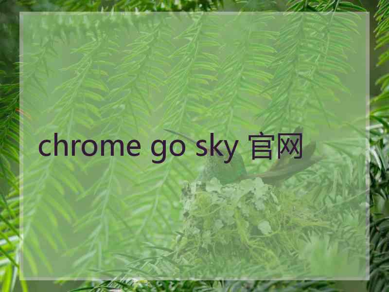 chrome go sky 官网
