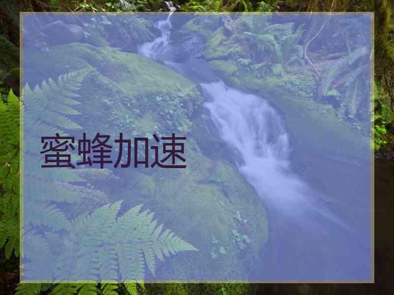 蜜蜂加速