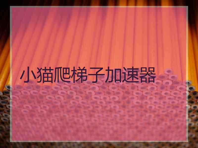 小猫爬梯子加速器