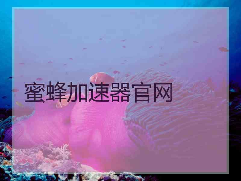 蜜蜂加速器官网