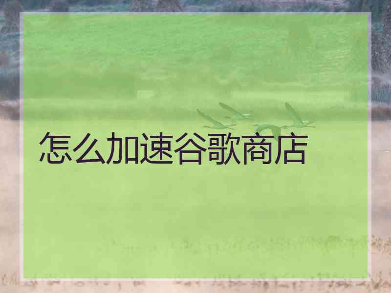 怎么加速谷歌商店