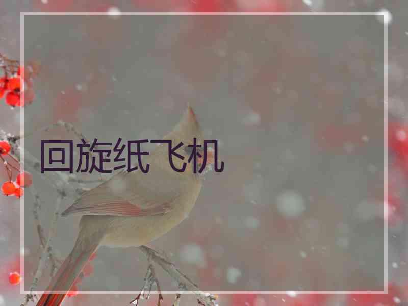 回旋纸飞机