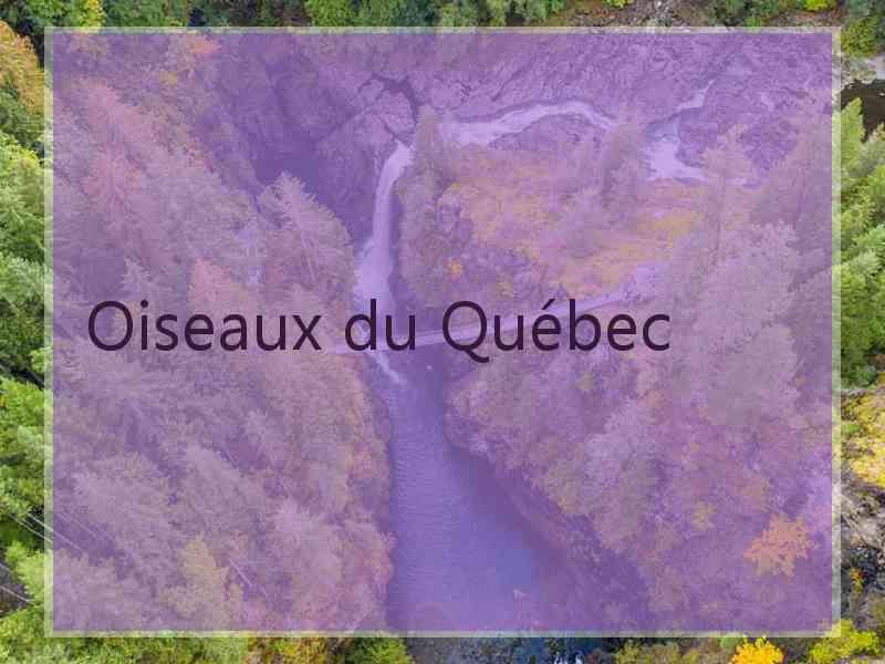 Oiseaux du Québec