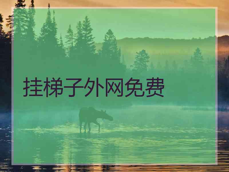 挂梯子外网免费
