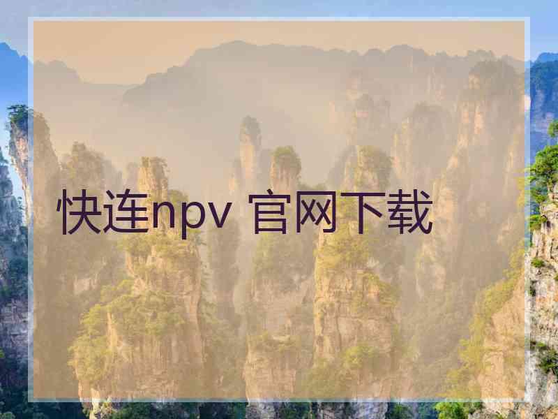 快连npv 官网下载