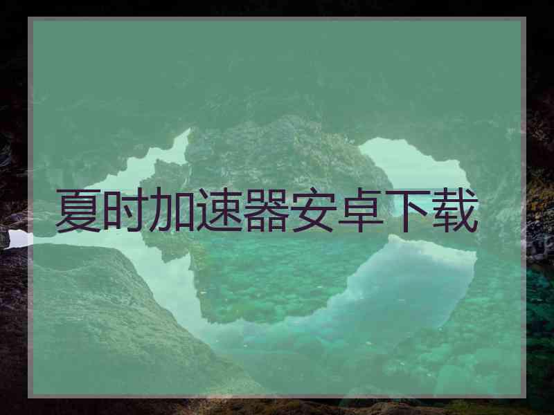 夏时加速器安卓下载