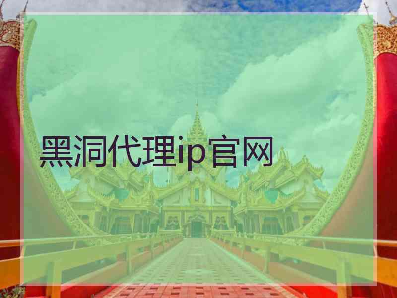 黑洞代理ip官网