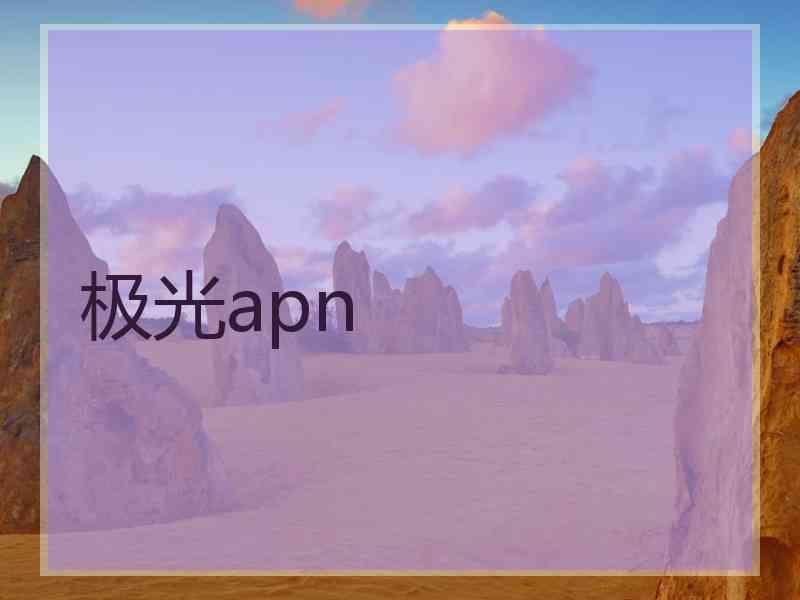 极光apn