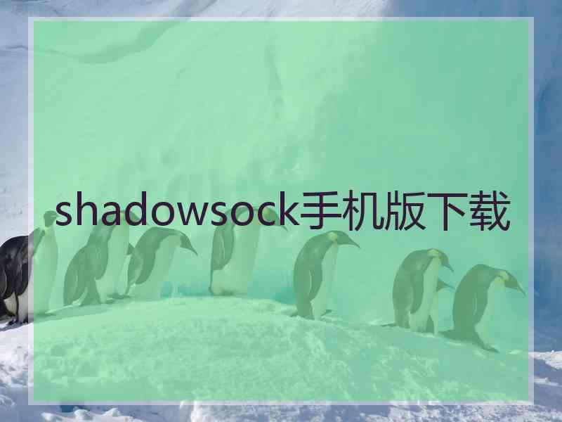 shadowsock手机版下载