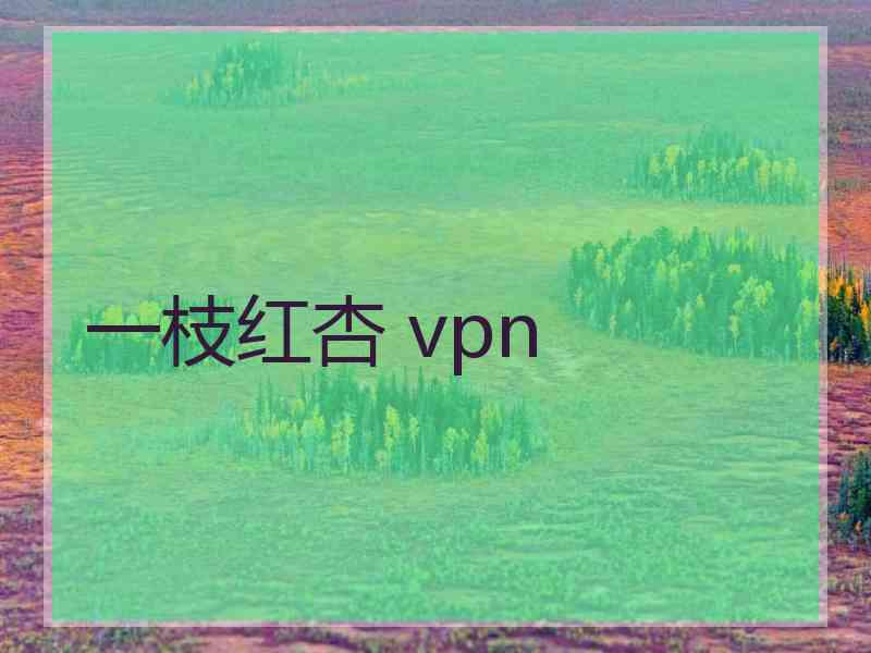 一枝红杏 vpn