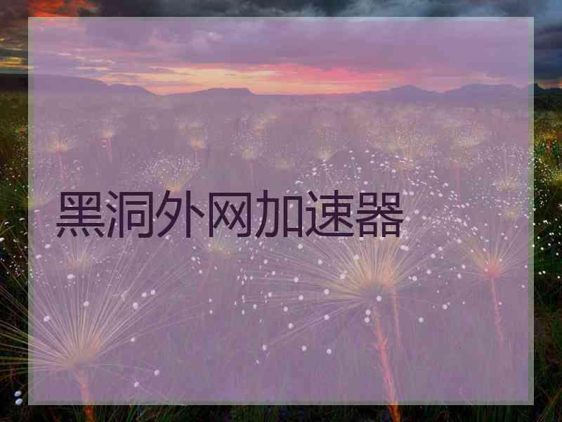 黑洞外网加速器