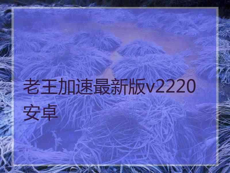 老王加速最新版v2220安卓