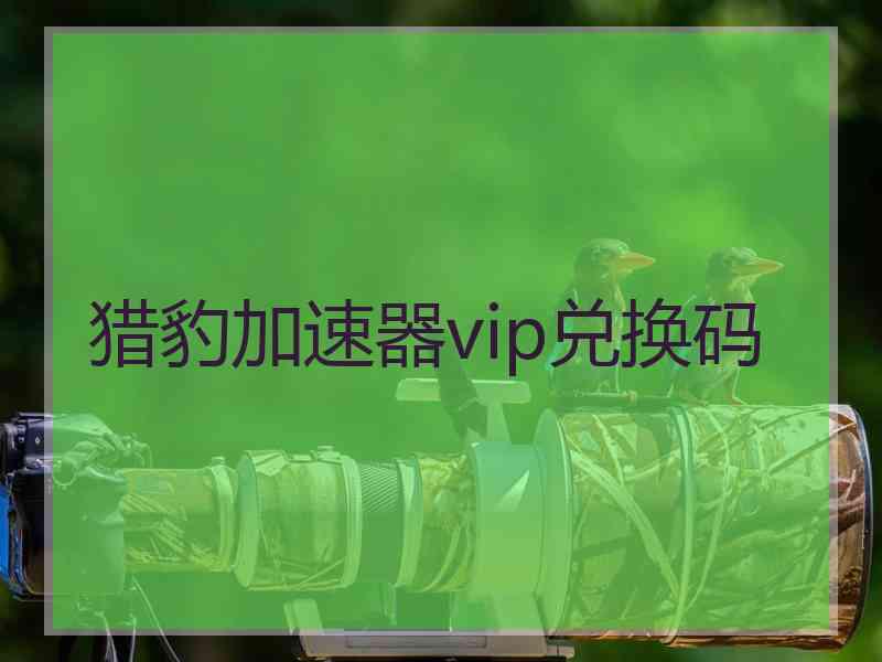 猎豹加速器vip兑换码