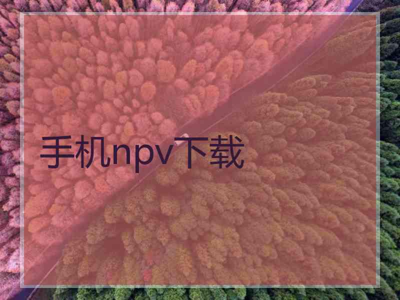 手机npv下载