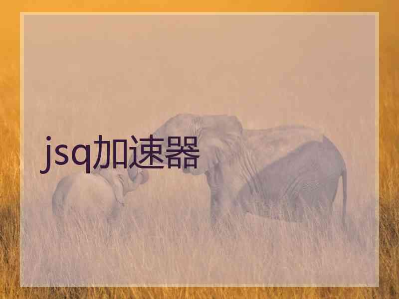 jsq加速器