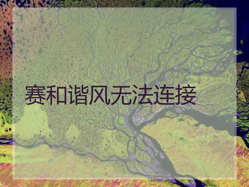 赛和谐风无法连接
