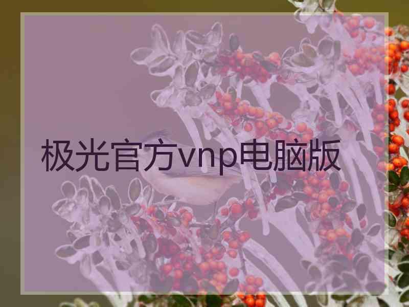 极光官方vnp电脑版