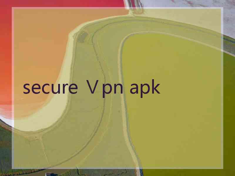 secure Ⅴpn apk