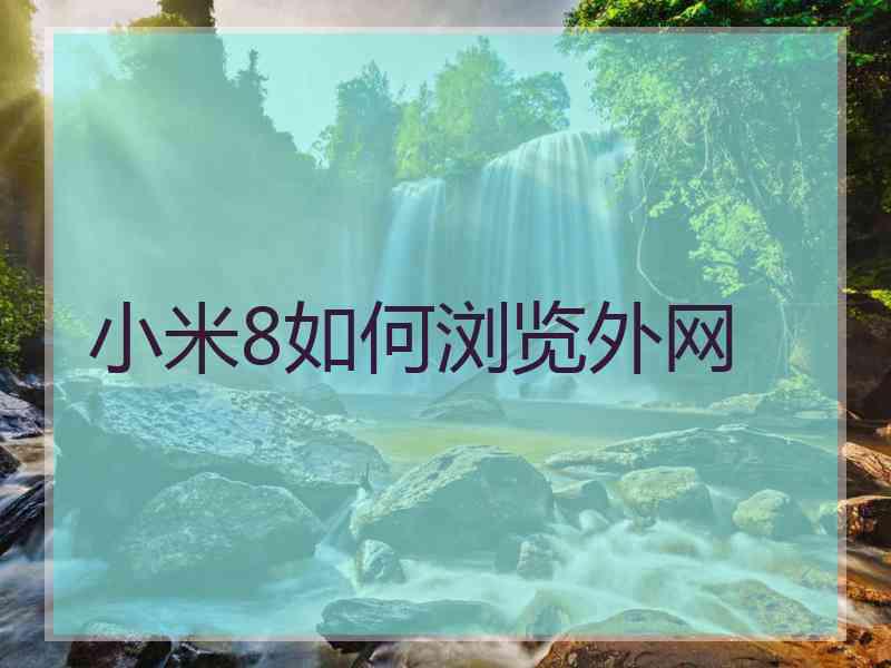 小米8如何浏览外网