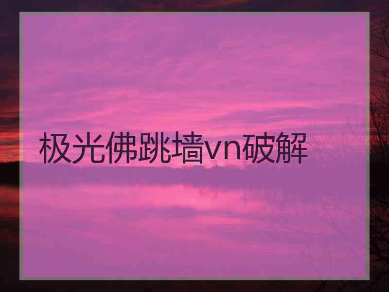 极光佛跳墙vn破解