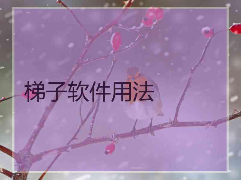 梯子软件用法