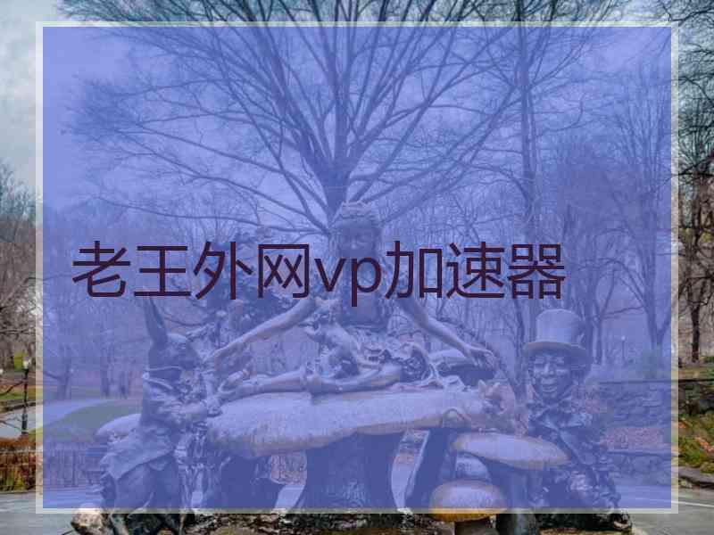 老王外网vp加速器