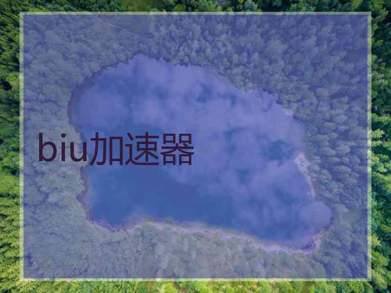 biu加速器