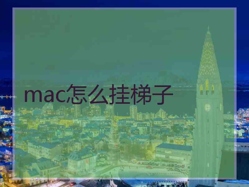 mac怎么挂梯子