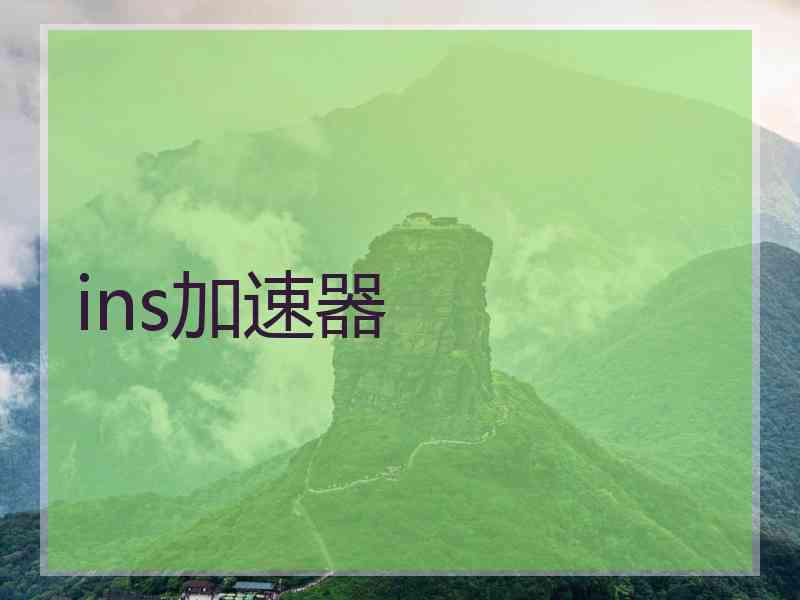 ins加速器