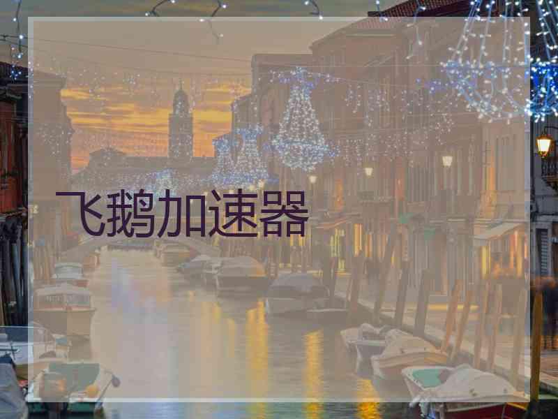 飞鹅加速器