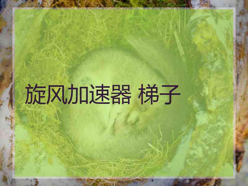旋风加速器 梯子