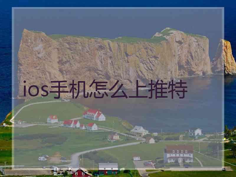 ios手机怎么上推特