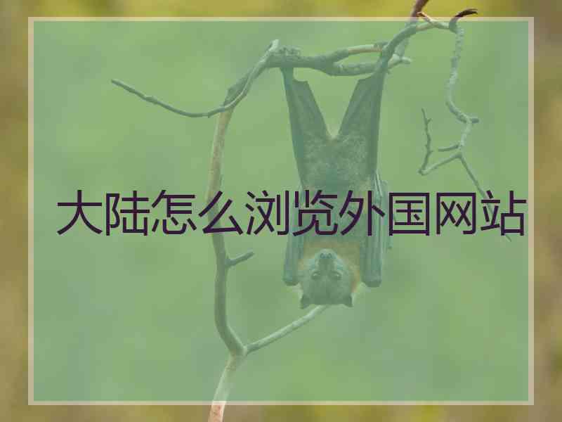 大陆怎么浏览外国网站
