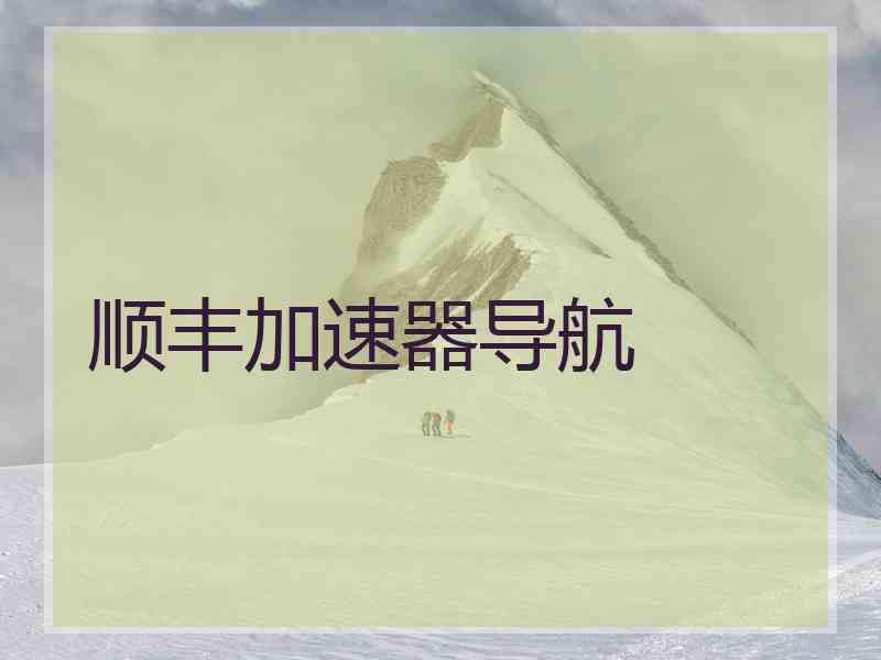 顺丰加速器导航