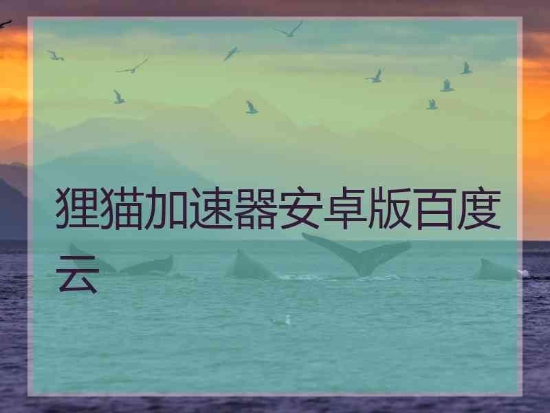 狸猫加速器安卓版百度云
