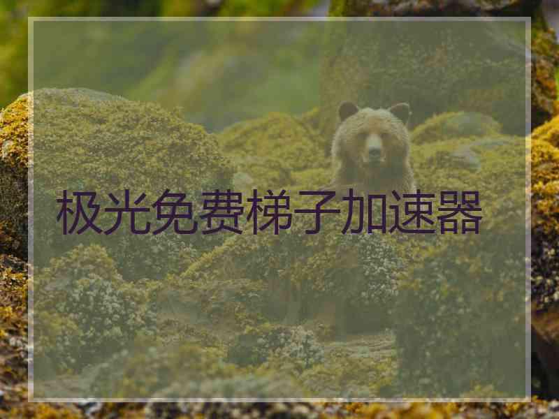 极光免费梯子加速器