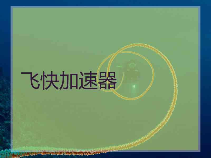 飞快加速器