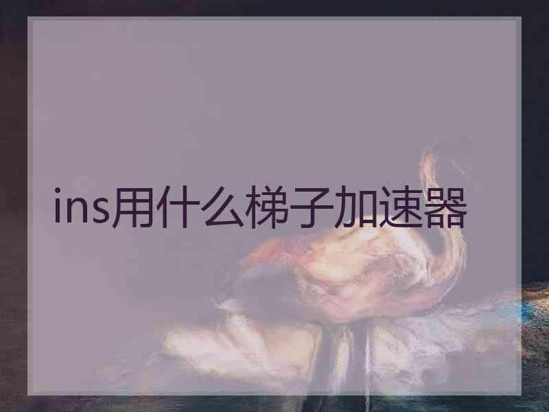 ins用什么梯子加速器