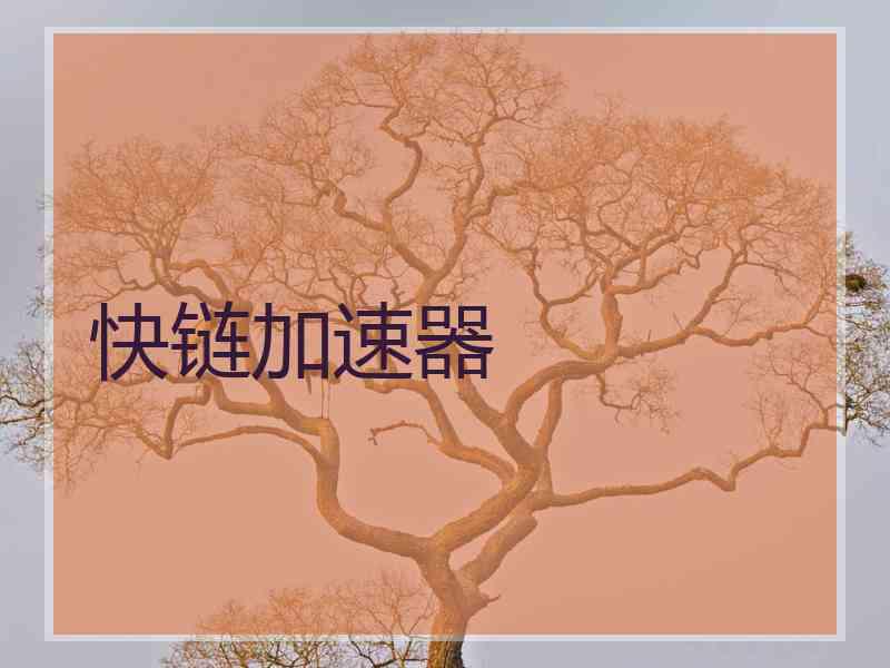 快链加速器