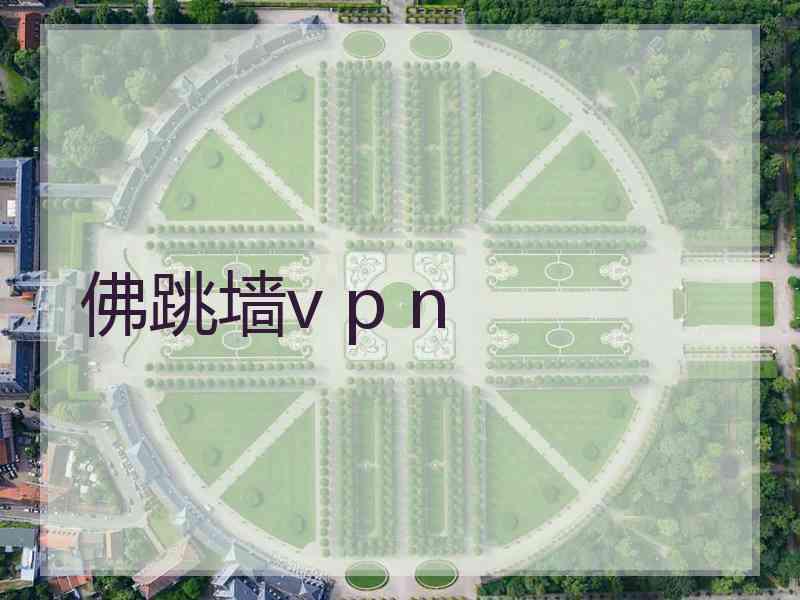佛跳墙v p n