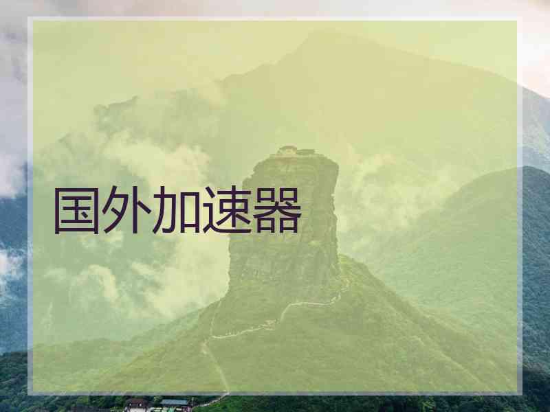 国外加速器
