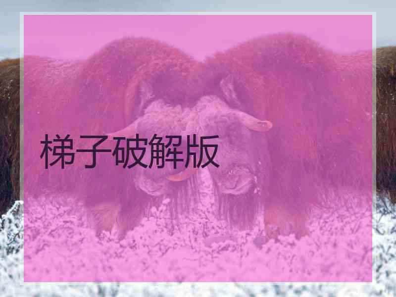 梯子破解版